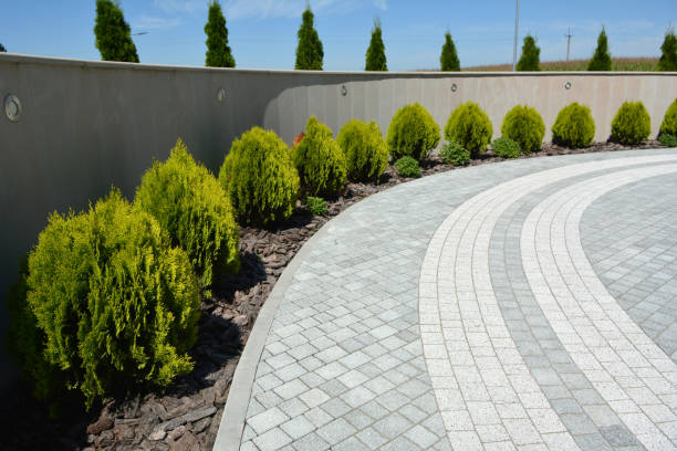 Best Driveway Paving Contractor  in George Mason, VA